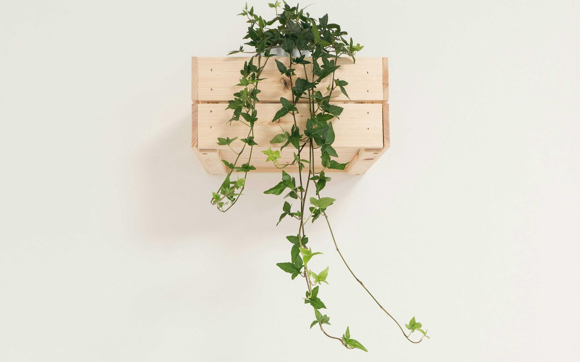 DIY-Holzwandregal