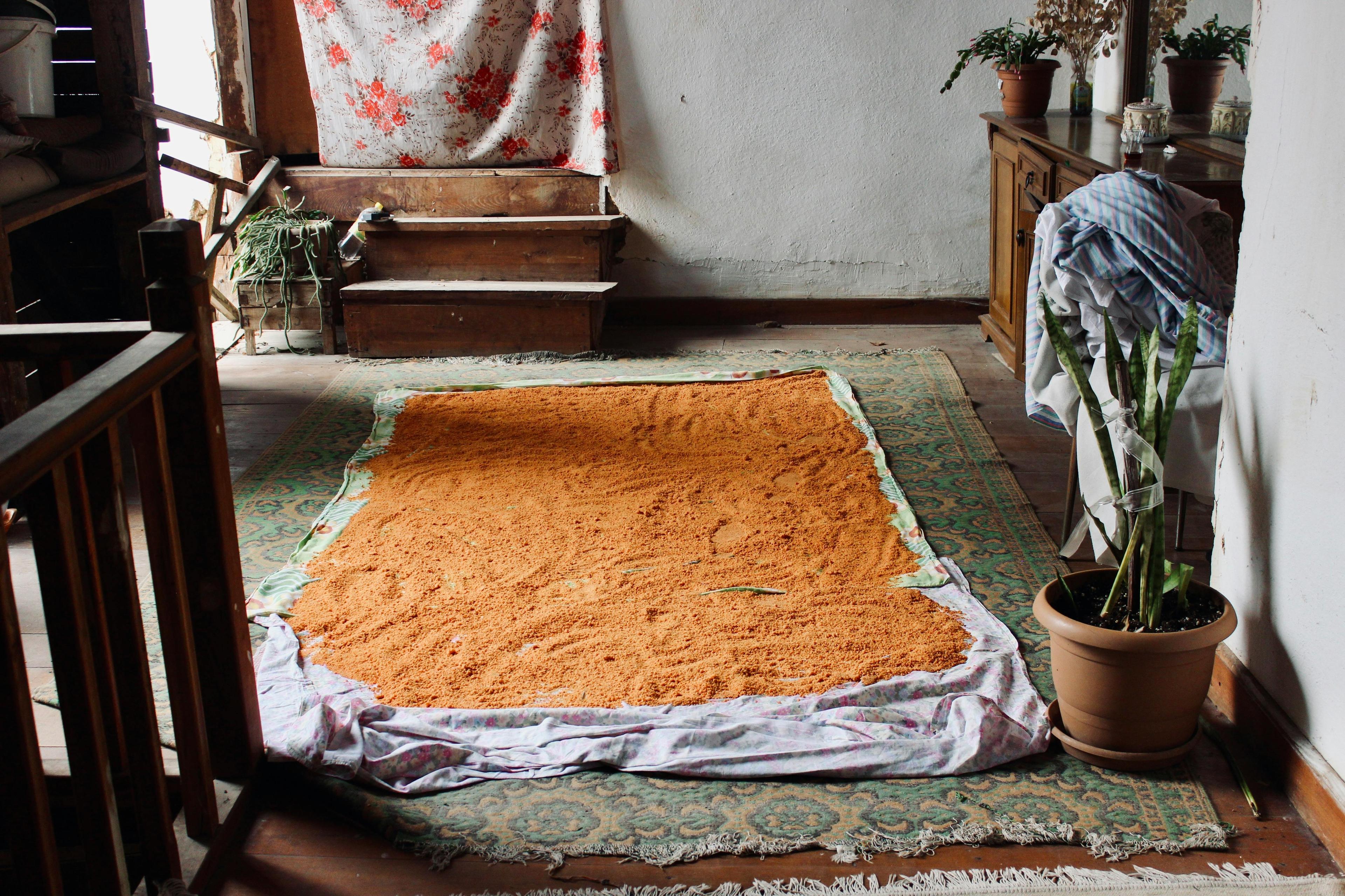 Teppich nach Wasserschaden reinigen